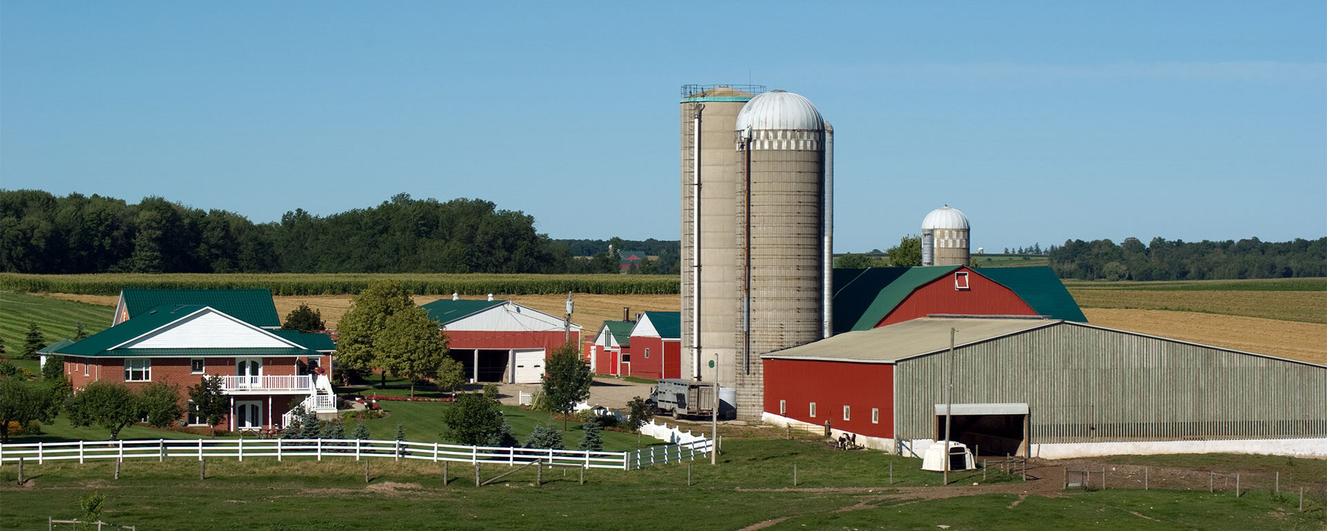 Image principale pour la page  Secteur agricole